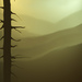 Thehighestsnagdlkeur600x750_square