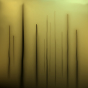 Allthatsleftdlkeur600x750_card