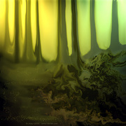 Attheedgeoftheforest_dlkeur_card