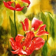 Nature_finest_20x28