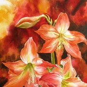Amarylilis_20x28