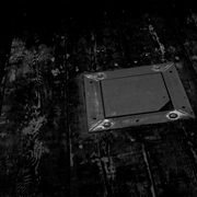 Bwdiagyellbrdscrlgsh_card