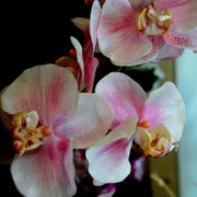 Dsc_3483_card