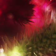 Latern_2_card