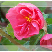 100_4375_card