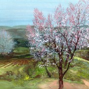 Spring_card