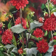 Red_dahlias_24x30_card