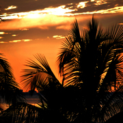 Sanibel_1st_day_of_retirement_card