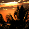 Sanibel_1st_day_of_retirement_thumb