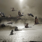 Sojourners_card