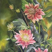 15__dahlia_on_huron_st