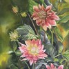 15__dahlia_on_huron_st