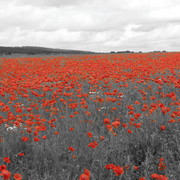 Img_2008_card