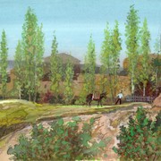 Pic14_card