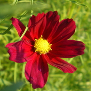 2008-07-15_06-38-08_0021_card