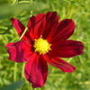 2008-07-15_06-38-08_0021_thumb
