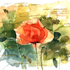 Mohn_gold_kopie_thumb