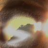 Eagle_s_eye_2_thumb
