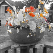 Img_2715_card