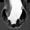 965429_157297_be1f81f203_l_thumb