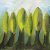 Pinos_thumb