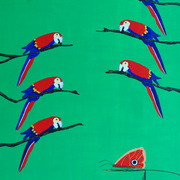 Macaw_ladder_card