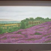 089_card
