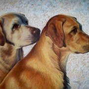 Golden_labs_mom_and_daughter_card