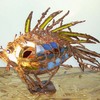 Fish_blue_thumb