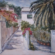 Calle_oliva_44_card