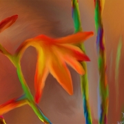764_flower-red_fragment_alexandr_alexandrow_little_lab-100_card