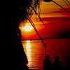 Tropiclove_thumb