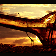 Our_faith_by_adoniswerther_card