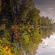 Dsc_0064forest_lakewi_card