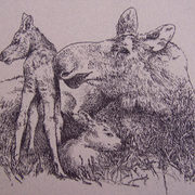 100_2898_0021_card