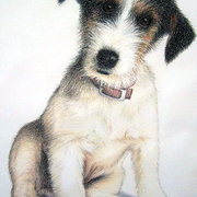 Lovepup_edited_card