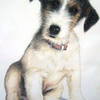Lovepup_edited_thumb