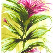 Firmilar_floral1x_card