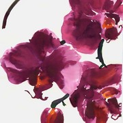 Floral_myrtle_3_card