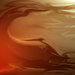 Shadowredrockadj_800_square