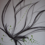 Kamera_021_card
