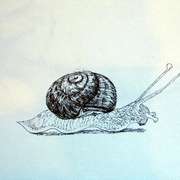 Snail_card