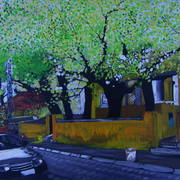 Dsci0045_card
