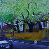 Dsci0045_thumb