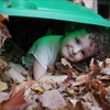 In_the_leaves_thumb