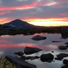 985-grizzly_dusk_thumb