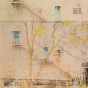 Tree_card