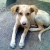 Image190_thumb