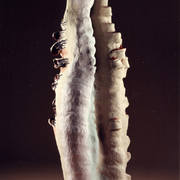 Spirit_of_hope_41x14x12_card