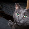 100_0776_thumb